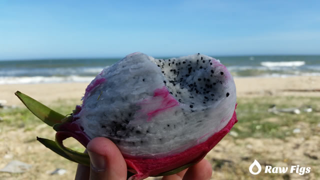 dragon-fruit_1.jpg